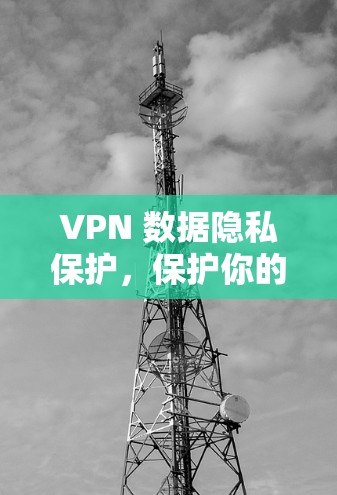 VPN 数据隐私保护，保护你的隐私，释放你的潜力