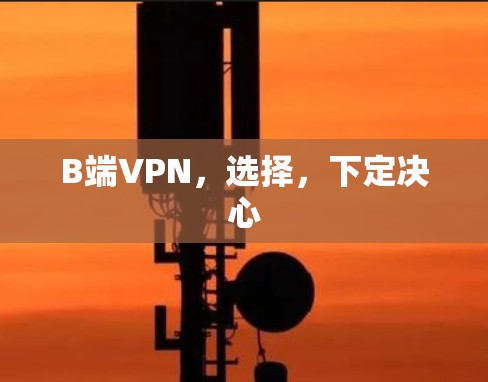 B端VPN，选择，下定决心